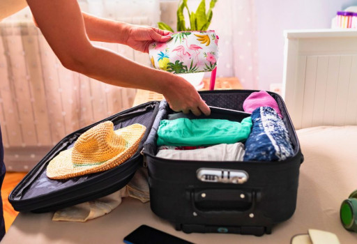 How to Pick the Best Packing Cubes for 2024