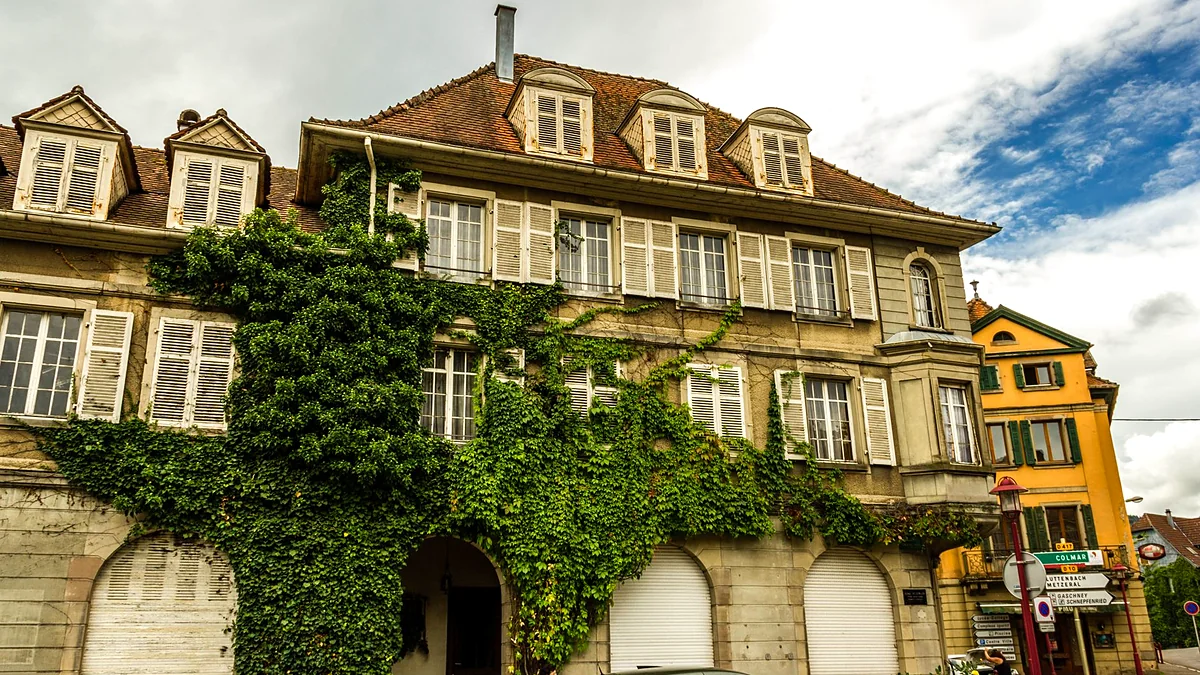 Colmar Luxury on a Budget: Little Venice Winter Picks