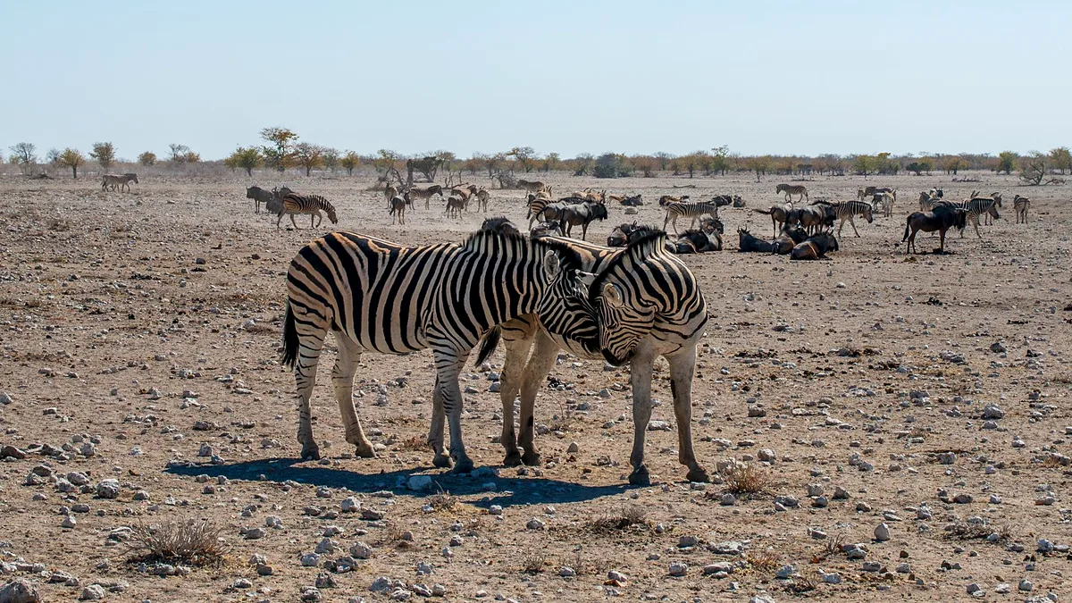Etosha Craft Workshops and Heritage Sites Worth the Drive