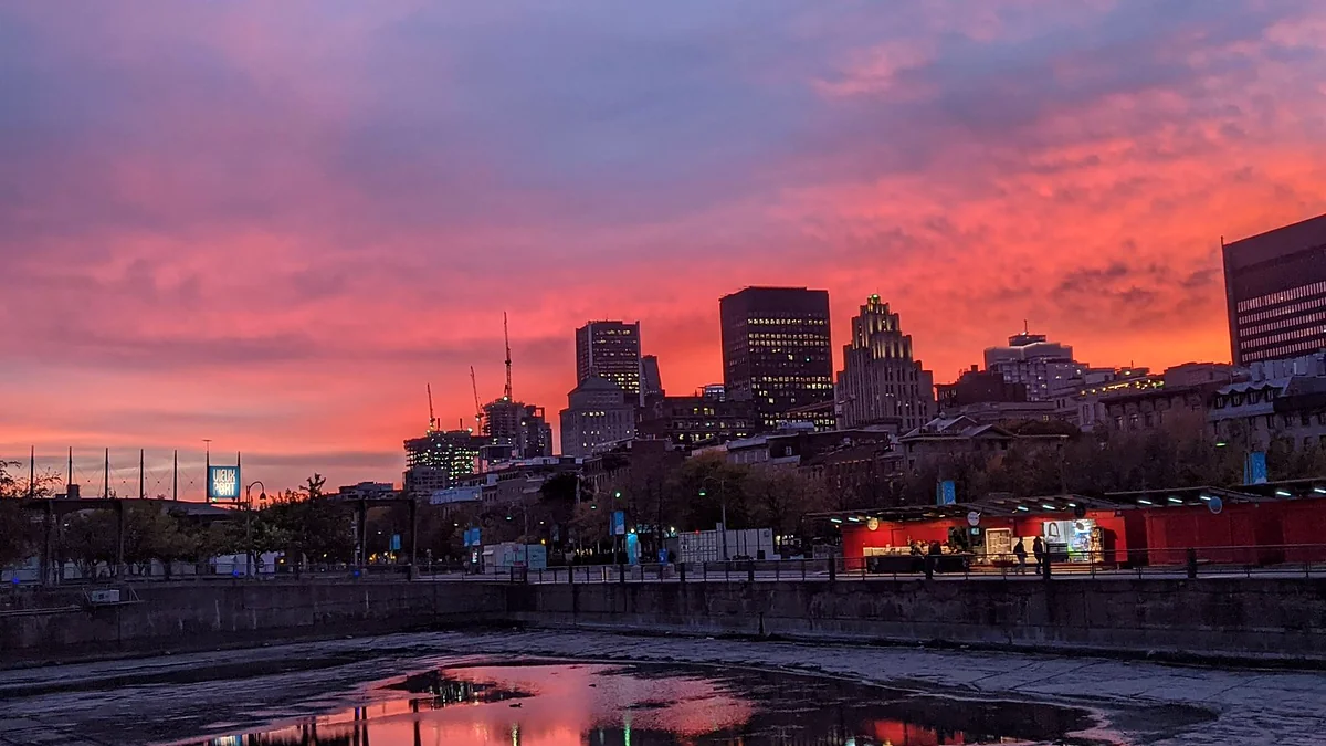Montreal's Hidden Galleries and Private Clubs in Deep Winter