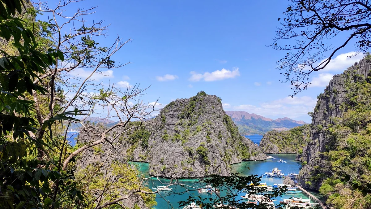 Palawan's Quiet Rooms: Galleries & Private Corners